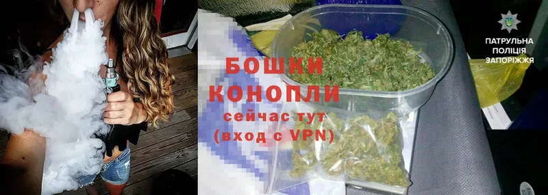 МЕГА ссылки  Егорьевск  Бошки марихуана семена 